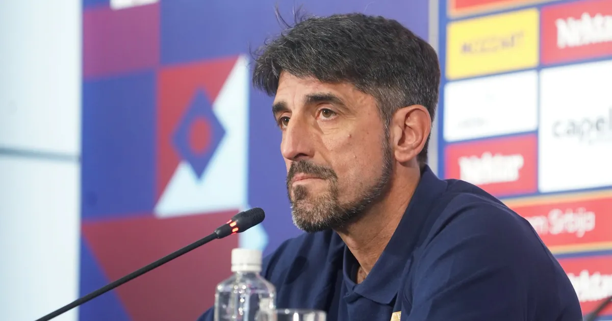 Veljko Paunović se oglasio pred početak meča Srbija - Holandija: "To može biti pogubno"
