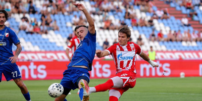 Kostov u izlogu! Zvezdina pijaca radi punom parom