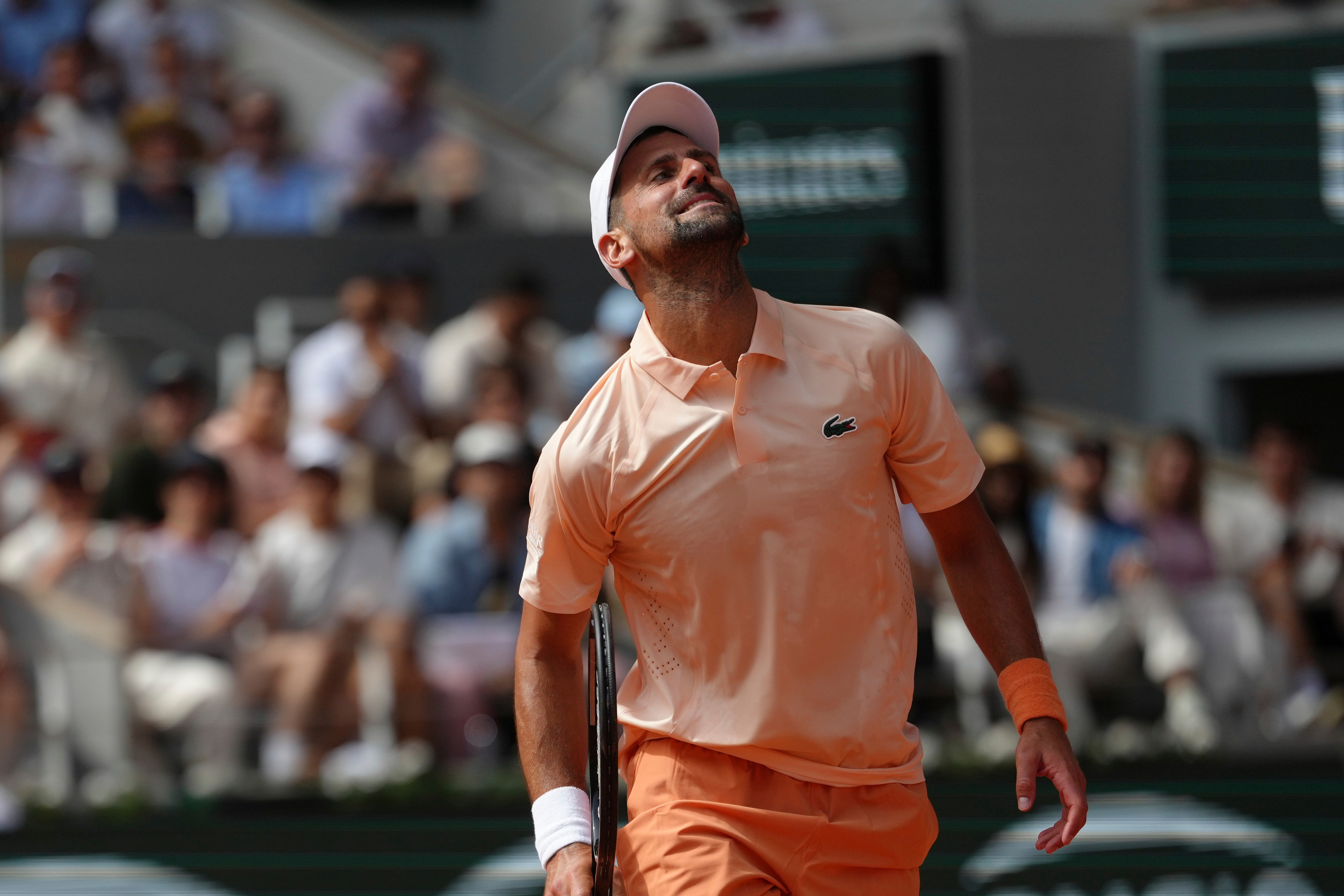 Novi pad, Novak Đoković osmi teniser sveta