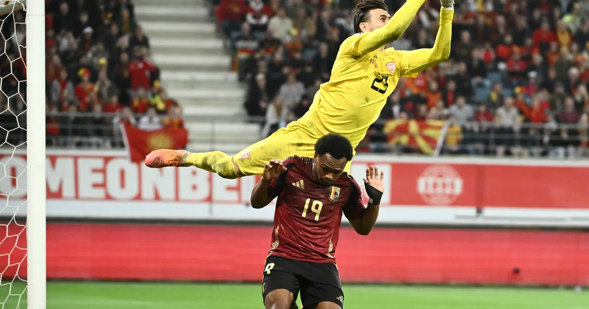 Belgijanac napustio crno-bele i otišao na pozajmicu u Lion!