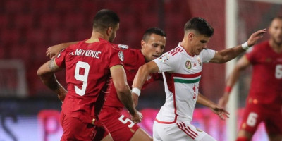Sramna izjava Kerkeza: Rodio se u Srbiji, a ne zanima ga šta se ovde dešava