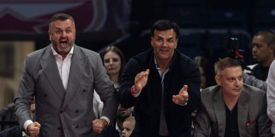 Predsednik Crvene zvezde na pitanje o novom centru pomenuo i Teodosića (FOTO)