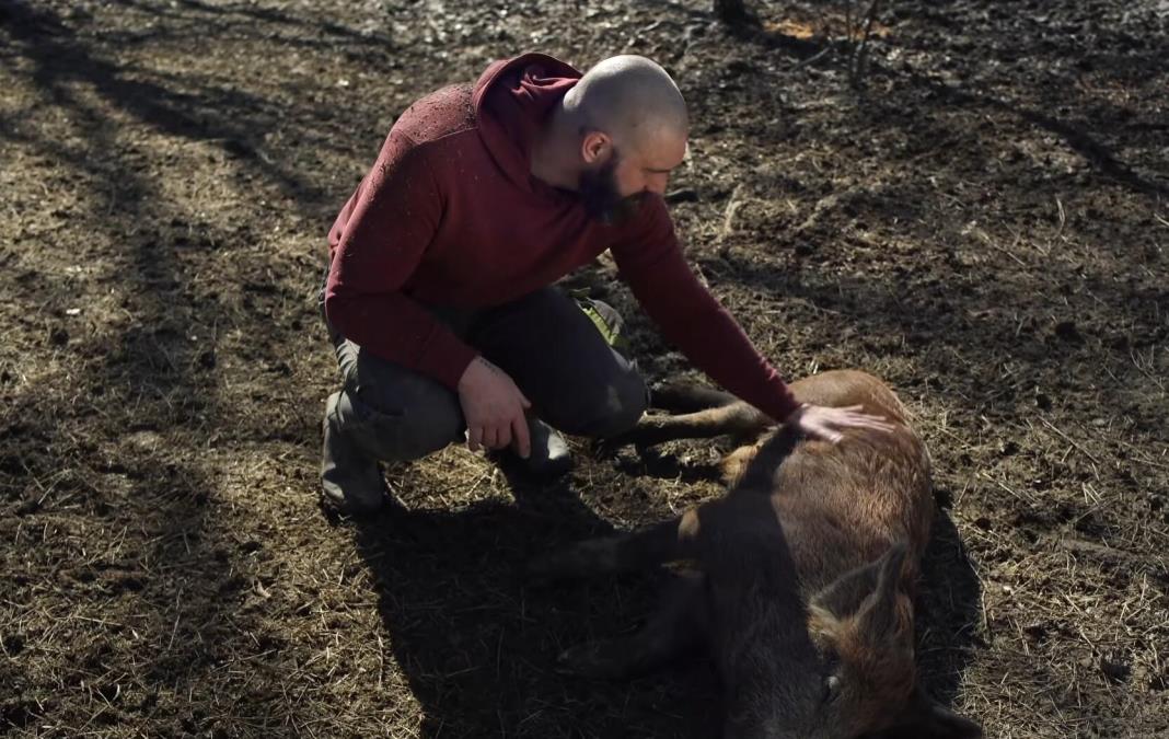 ČUVENI MLADI TRENER PODELIO CELU ZARADU U KARIJERI I OTIŠAO DA ŽIVI U ŠUMU! Nikola im dao 2.000.000 evra pa poručio: Neću novac, hoću da budem čoban...