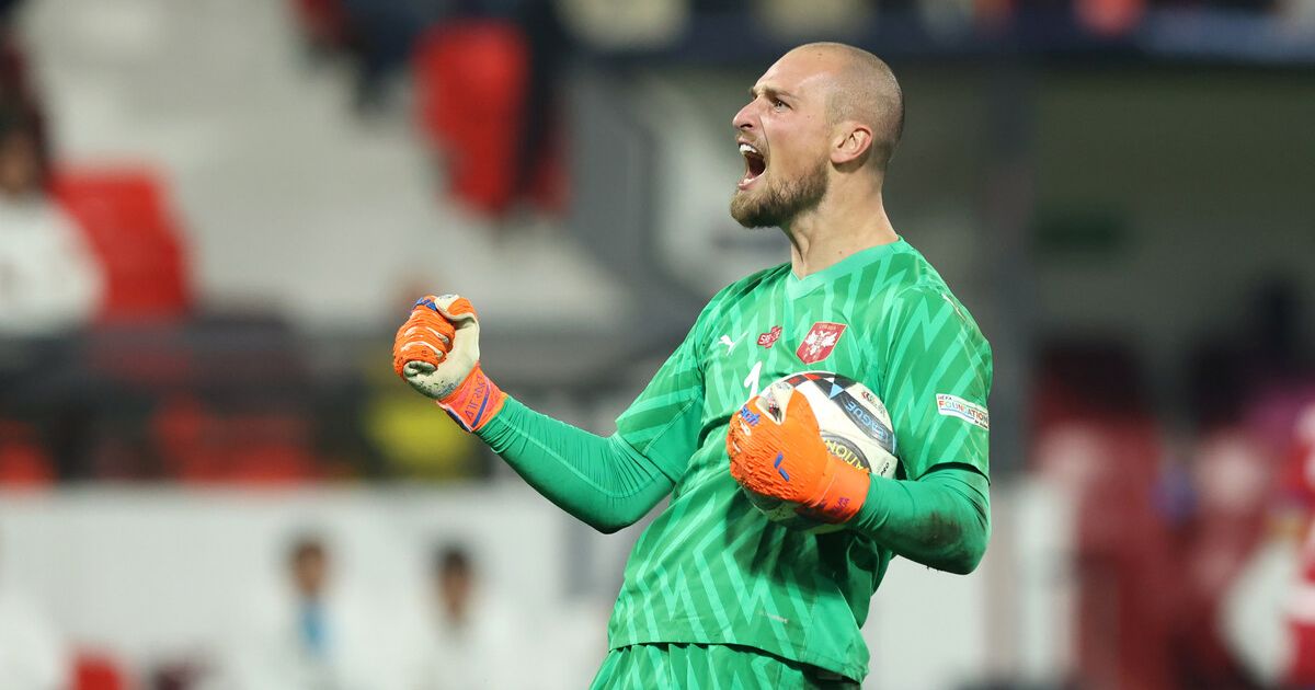 Veljko Paunović i Srbija dobili loše vesti pred važne utakmice u Ligi nacija: Povredio se iskusni čuvar mreže
