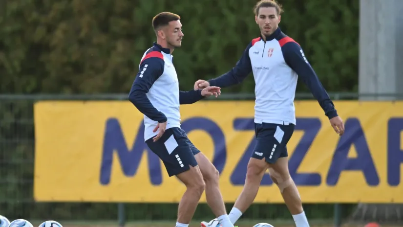 Paunović može da računa na Aleksu Terzića