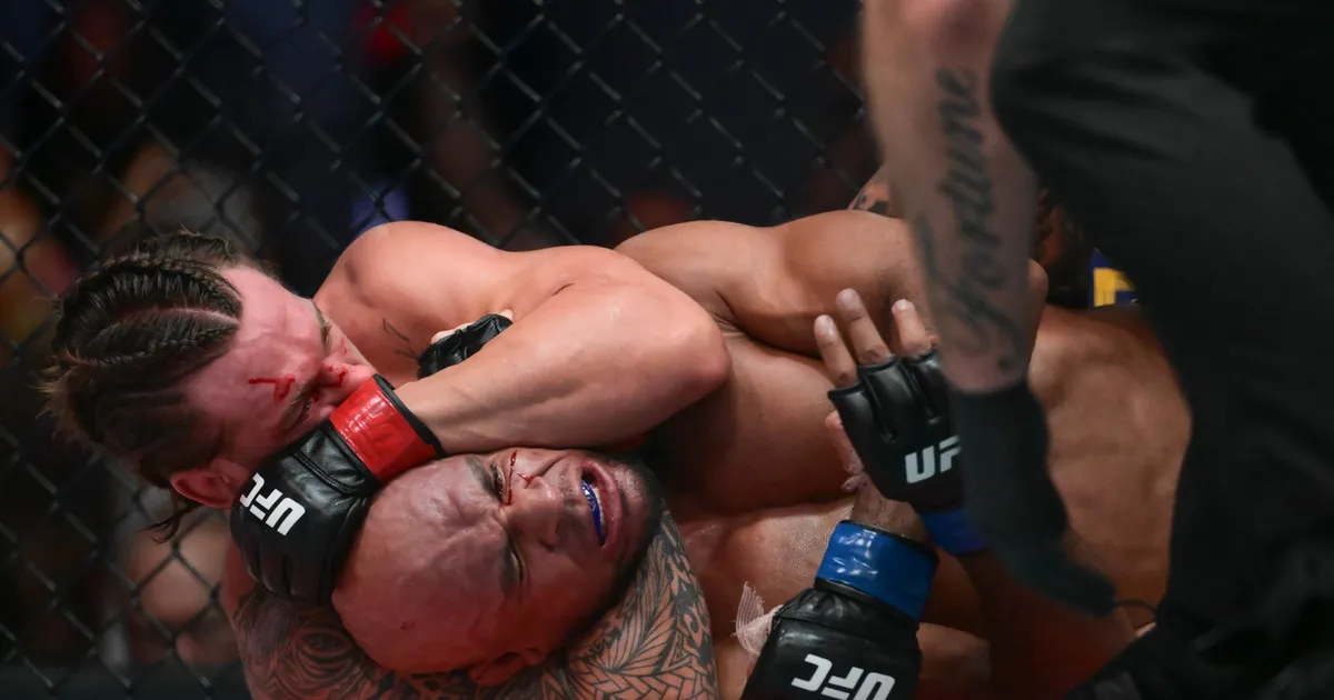 Alen majstorski "ugušio" Dankana, Tanzilovi i Fili nikad brutalniji, UFC spektakl u Las Vegasu!