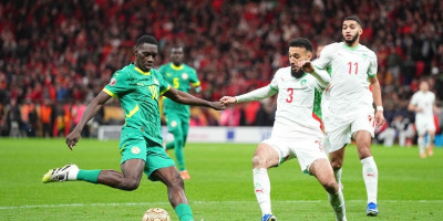 Otpao i 13. trener sa Mundijala: Pravi šampion Afrike uručio otkaz selektoru