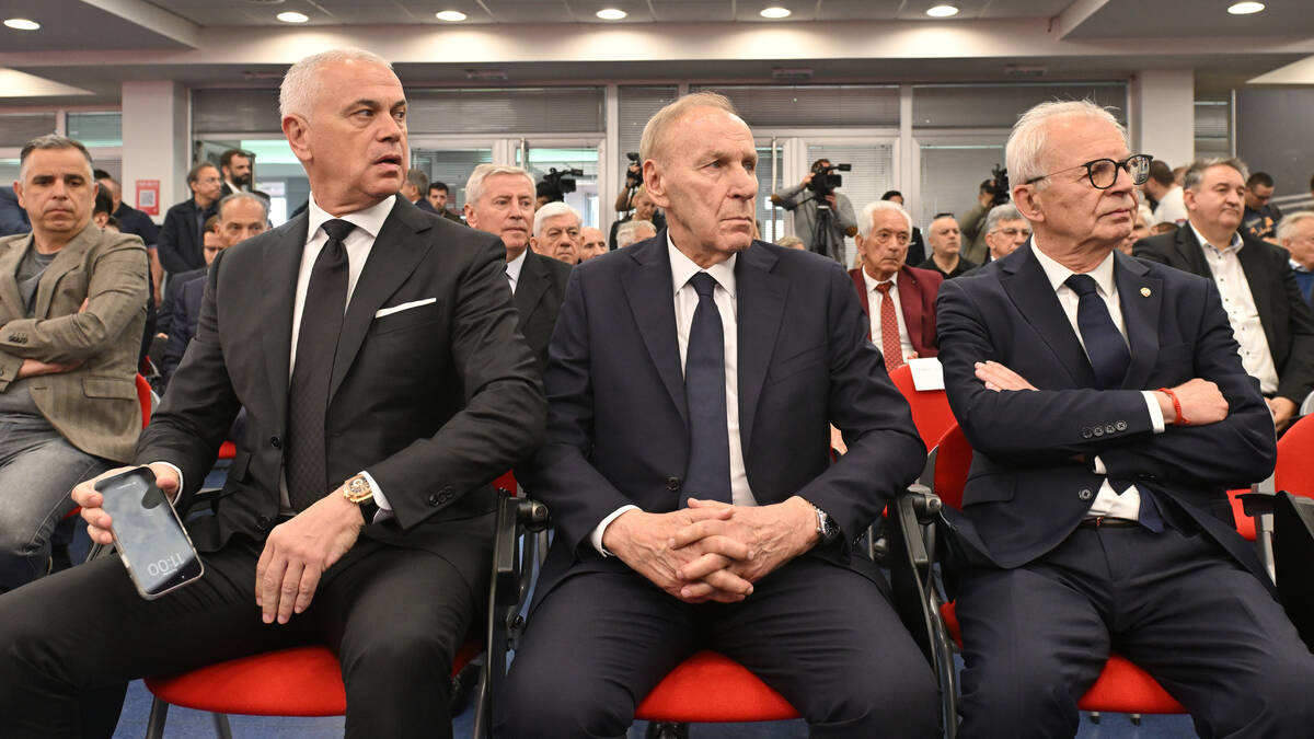 Zvezdan Terzić u Savezu, Džajić ne može da bude predsednik: Zvezda promenila predstavnika u skupštini FSS