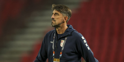 Veljko Paunović dobio vesti koje je čekao: Srbiji stiže važno pojačanje